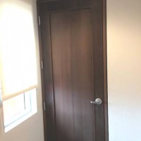 Single-Molded-Flush-Door-2